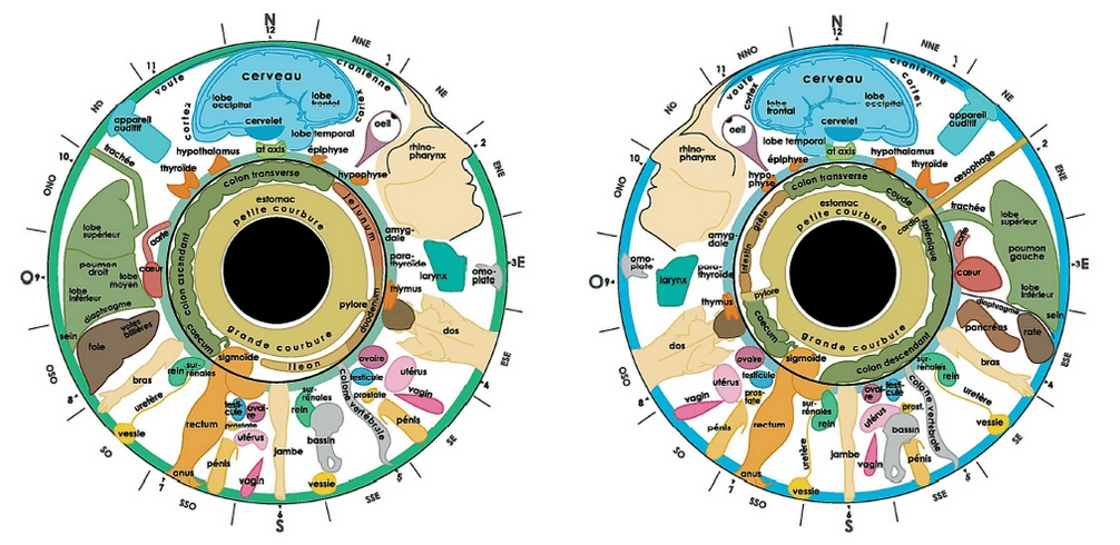 iridologie